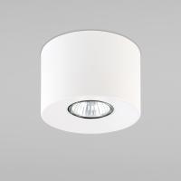 potolochnyy-svetilnik-v-stile-loft-3234-orion-white-a059743-0001