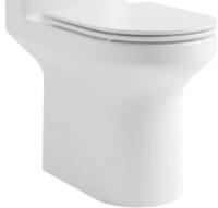 14842110-napolniy-unitaz-jacob-delafon-elite-e38597-00-bezobodkoviy-krishka-mikrolift.1748153701.1200x1200-800x800 копия 2