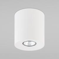 potolochnyy-svetilnik-v-stile-loft-3237-orion-white-a059742-0001