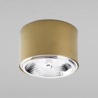 potolochnyy-svetilnik-v-stile-loft-3349-moris-gold-a059735-0001