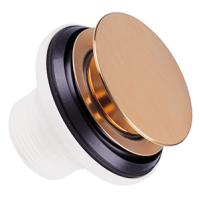 ENGLISH_BRONZE_PEARL