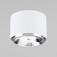 potolochnyy-svetilnik-v-stile-loft-3364-moris-white-a059734-0001