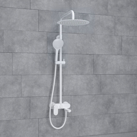 43_A185.161.155.WM_wk_c0