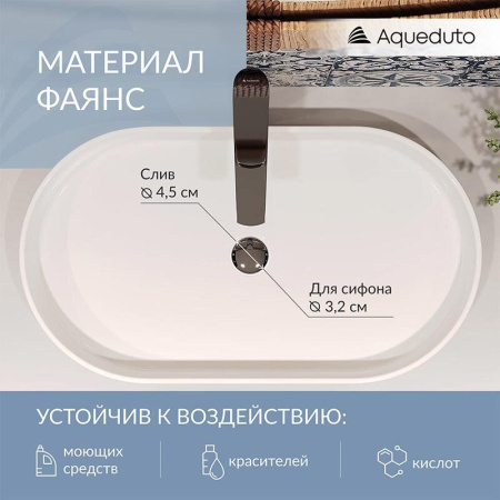 107_ESP0210_sanru_c10