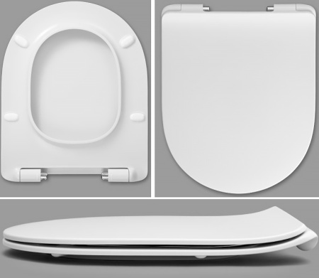 KOMPLEKTUYUSCHIE_DLYA_UNITAZOV_ROCA_LEON_S_MIKROLIFTOM_N000261359_2