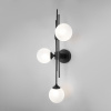 nastennyy-svetilnik-so-steklyannymi-plafonami-50383-3-chernyy-a065727-0001