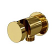 Шланговое подключение Wasserkraft Sauer A189 глянцевое золото