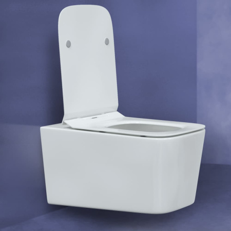 9d0666eb-eaf9-11eb-91b9-0cc47ae7d2a2000835988_original