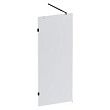 Душевая перегородка AM.PM X-Joy W94UWI-80-F1-BTE 80x195 см