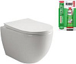 Унитаз подвесной Ceramica Nova Mia Rimless CN1805 безободковый, с микролифтом + подарок