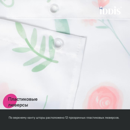 28_BF01P18i11_5