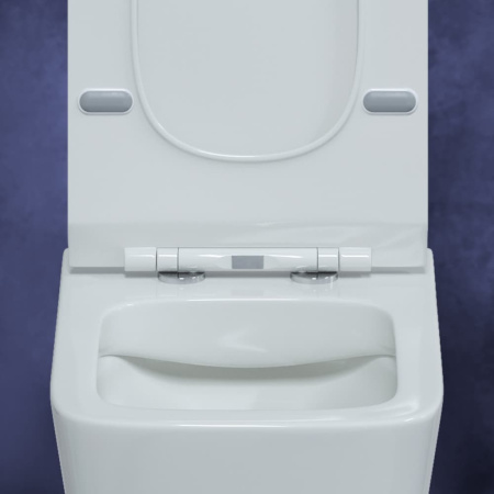 9d0666eb-eaf9-11eb-91b9-0cc47ae7d2a2000835991_original