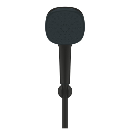 ZZF_275882433_004_01_1_1