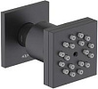 Душевая форсунка Aquatek AQ2098MB матовая черная