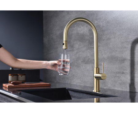 mf5z3xazxyobht0zxqbms198z06c7c3x