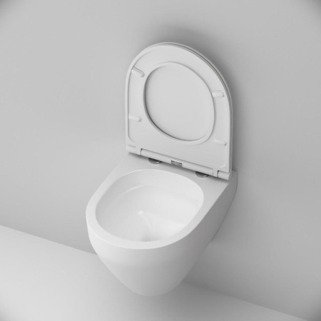 91100d5b456e5dd17c66dd9ef93ccaf6