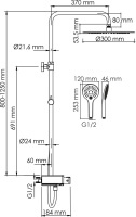43_A113.116.155.CH Thermo_wk_c1