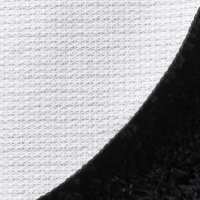 n22_BM-3911_c1