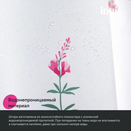 27_BF02P18i11_2