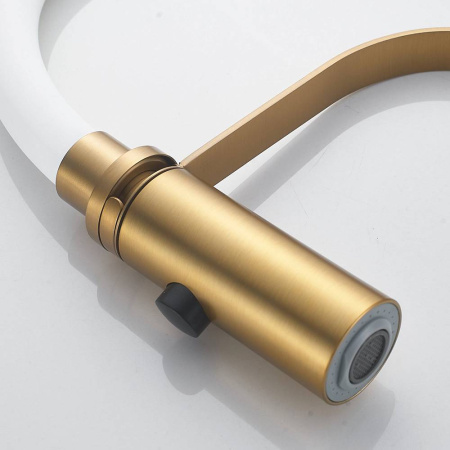 rfb221szqasnskm40i7ht9brjm81hz8v