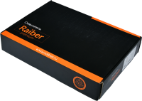RAIBER_GRACEFUL_ZOLOTO_P000099723_6