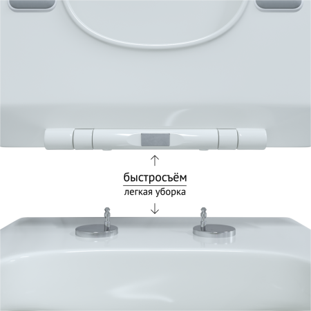 9d0666eb-eaf9-11eb-91b9-0cc47ae7d2a2000835989_original