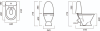 n3_WC.CC-Victoria-1-P-WHT.G-S1_c1