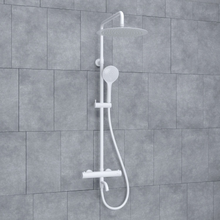 45_A188.161.155.WM Thermo_wk_c0