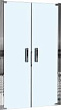 Душевая дверь в нишу WeltWasser WW600 600-K2-100