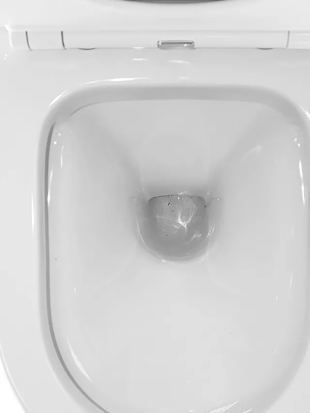 Без названия (8)