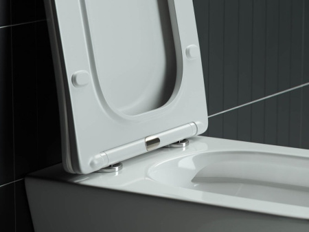 c9970f1b-eae5-11eb-91b9-0cc47ae7d2a2000793955_original