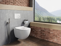 wc-uni-chrome-rimoff-bm040