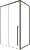 0_T48-51R___T60-61