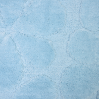 n21_BM-2217_c3