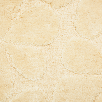 n18_BM-2213_c3
