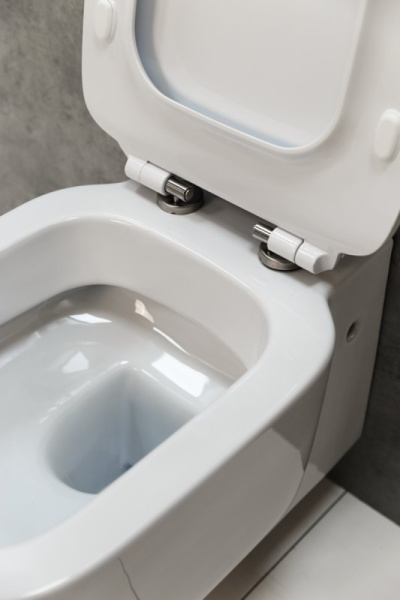 f4d69fa0-8623-11eb-91b7-0cc47ae7d2a2000729819_original