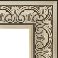 MEBEL_DLYA_VANNOY_KOMNATY_EVOFORM_EXCLUSIVE_60X90_SM_BAROKKO_SEREBRO_N000235867_3