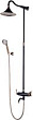 Душевая стойка Lemark Prime LM6162BRG