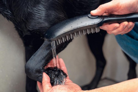 df073532-18b4-11ec-91b9-0cc47ae7d2a2000792891_original