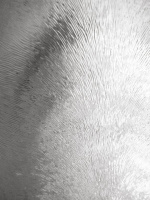 1a237a39-8623-11eb-91b7-0cc47ae7d2a2000727182_original