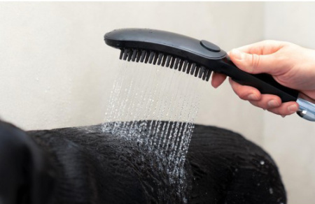 df073532-18b4-11ec-91b9-0cc47ae7d2a2000792890_original