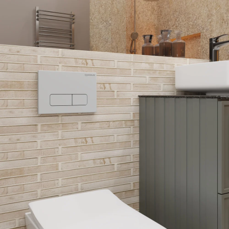 CHARUS_ELEGIA_SEREBRYANYE_OBLAKA_P000074852_4 (1)