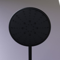 D07409225